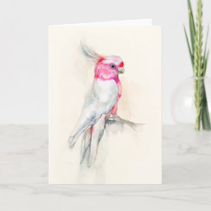 Opera Cockatoo Card