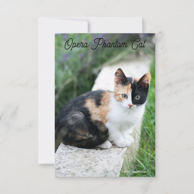 Opera Phantom Cat (Front)