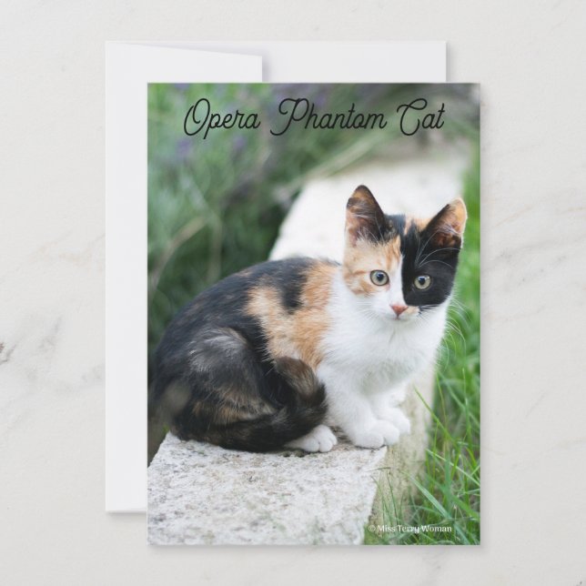 Opera Phantom Cat (Front)