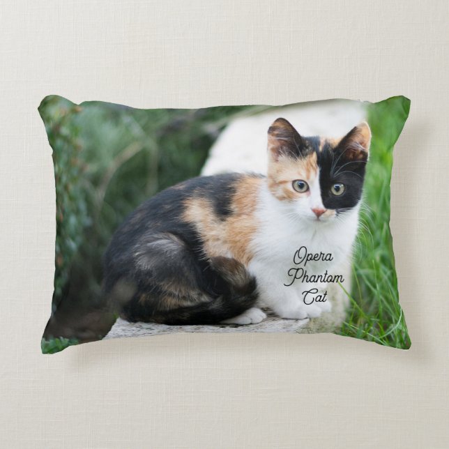 Opera Phantom Cat Accent Pillow (Front)