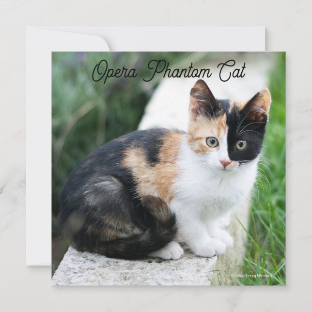 Opera Phantom Cat Card (Front)