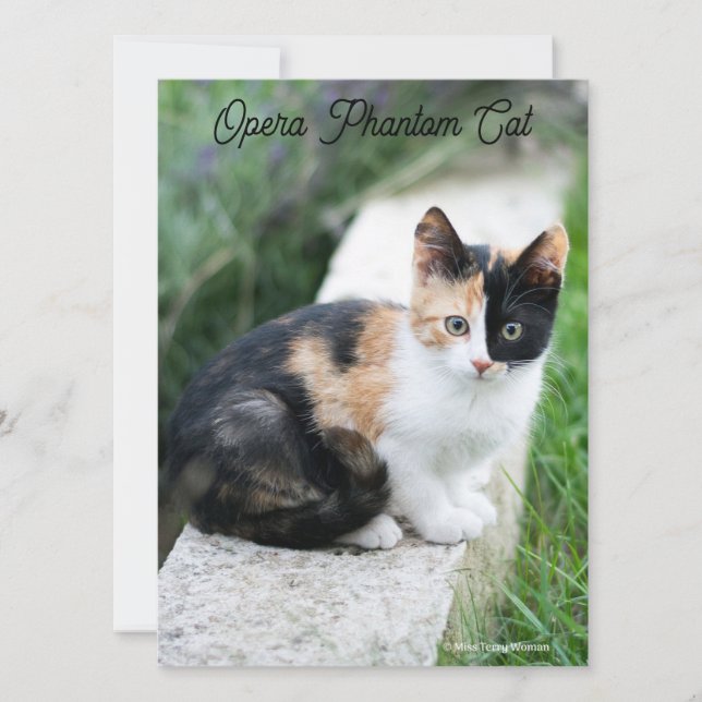 Opera Phantom Cat Card (Front)