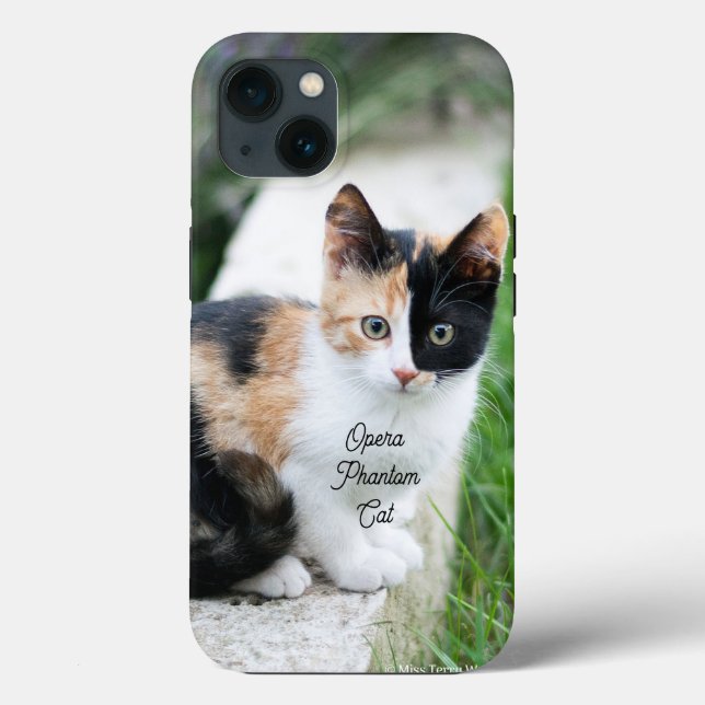 Opera Phantom Cat Case-Mate iPhone Case (Back)