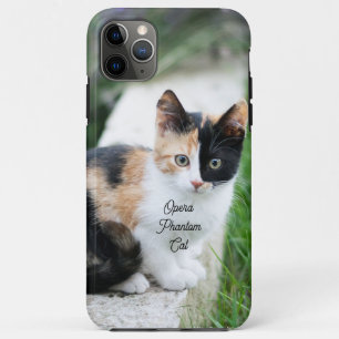 Opera Phantom Cat Case-Mate iPhone Case