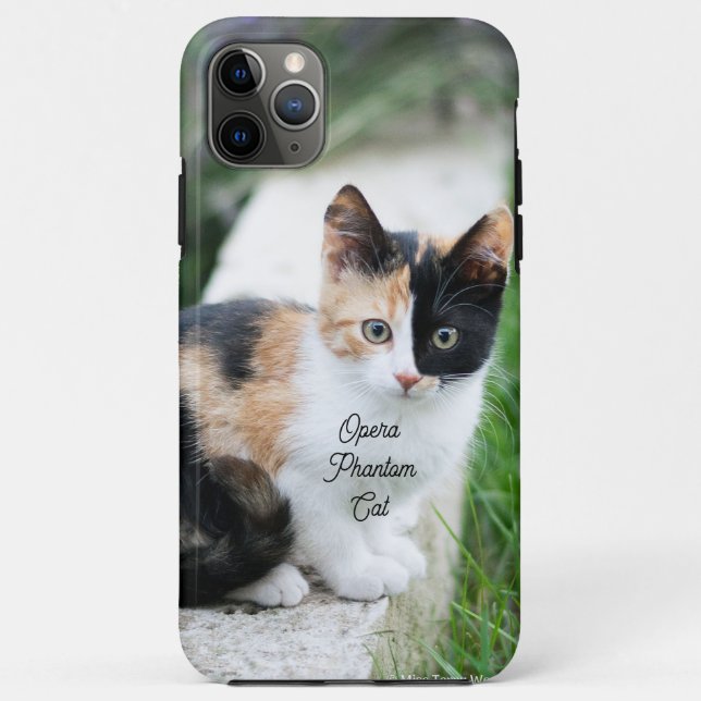 Opera Phantom Cat Case-Mate iPhone Case (Back)