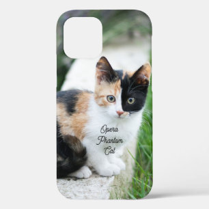 Opera Phantom Cat iPhone 12 Case