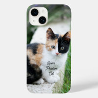 Opera Phantom Cat