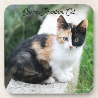 Opera Phantom Cat