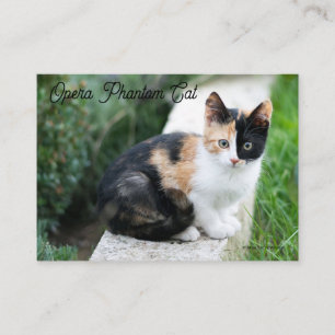 Opera Phantom Cat Enclosure Card