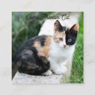 Opera Phantom Cat Enclosure Card