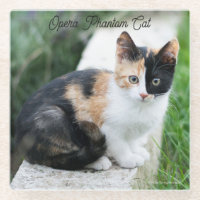 Opera Phantom Cat