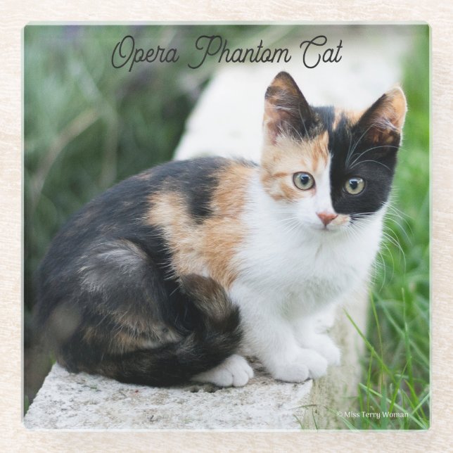 Opera Phantom Cat Glass Coaster (Front)