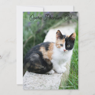 Opera Phantom Cat Holiday Card