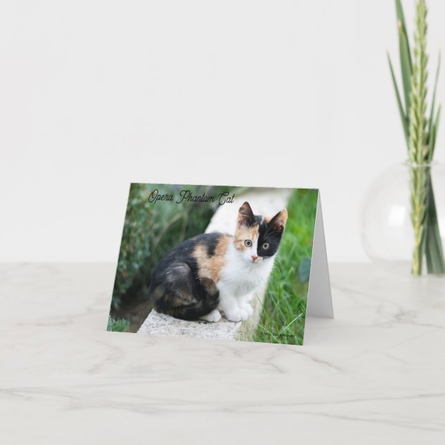 Opera Phantom Cat Invitation (Front)