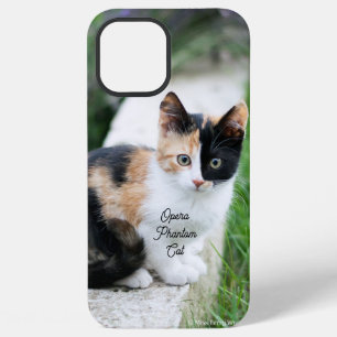 Opera Phantom Cat iPhone 12 Pro Max Case