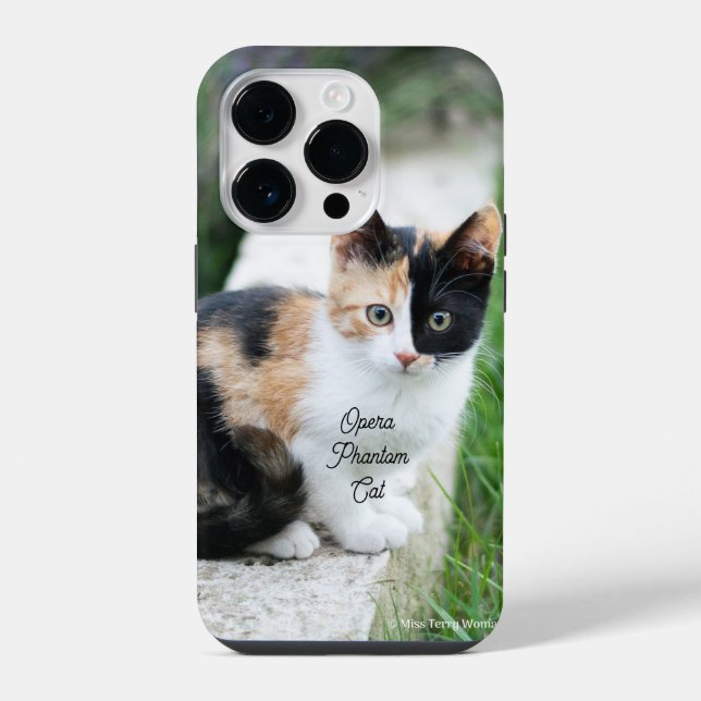 Opera Phantom Cat iPhone Case (Back)