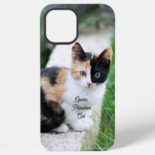 Opera Phantom Cat iPhone 12 Pro Max Case