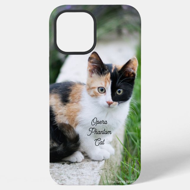 Opera Phantom Cat iPhone Case (Back)