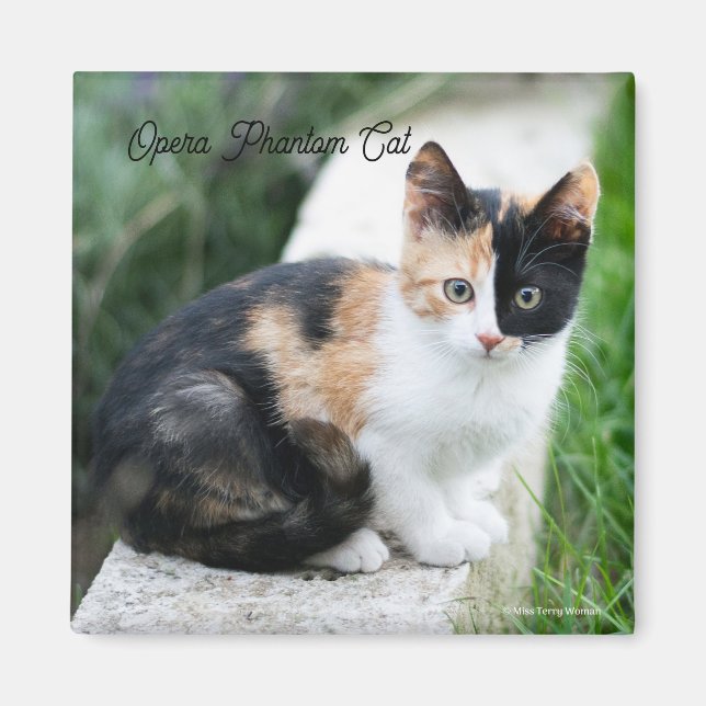 Opera Phantom Cat Magnet (Front)