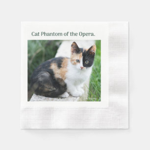 Opera Phantom Cat Napkin