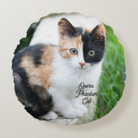 Opera Phantom Cat