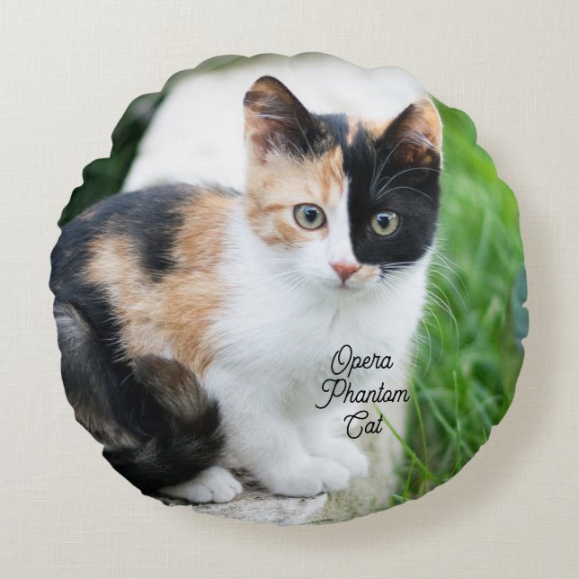 Opera Phantom Cat Round Cushion (Front)