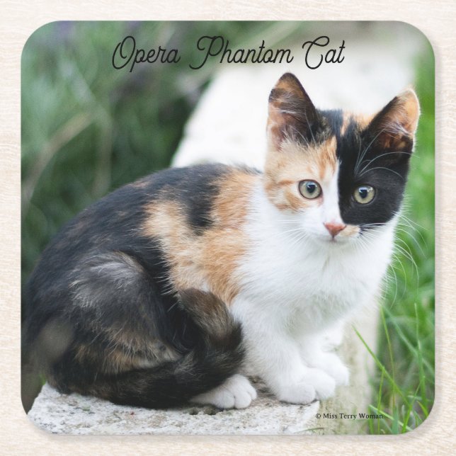 Opera Phantom Cat Square Paper Coaster (Front)