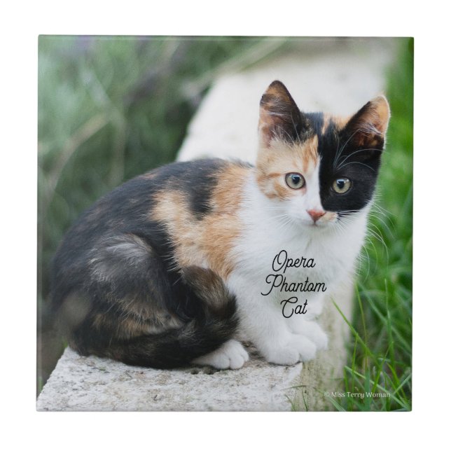 Opera Phantom Cat Tile (Front)