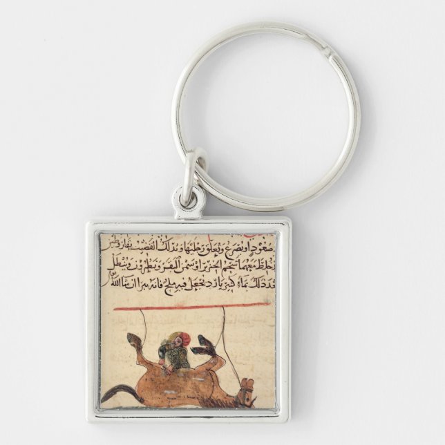Operation on a horse, illustration key ring (Front)