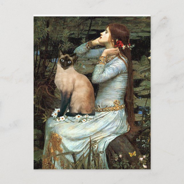 Ophelia - Seal Point Siamese Cat Postcard (Front)