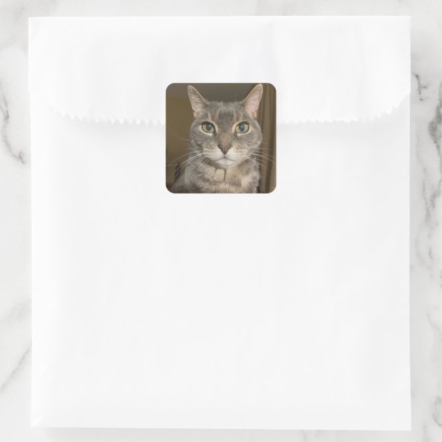 Ophelia Sticker (Bag)