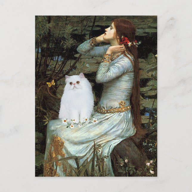 Ophelia - White Persian Kitten Postcard (Front)