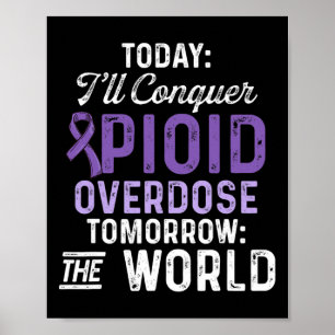 Opioid Overdose Awareness Warrior Survivor 47 Poster