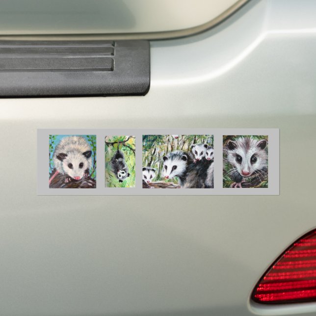 Opossum Bumper Sticker (On Car)