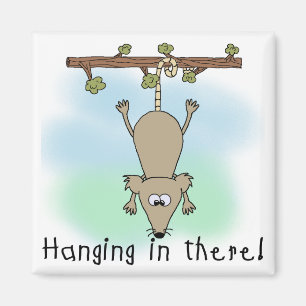 Opossum Hanging in There Magnet