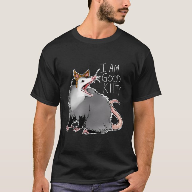 Opossum I Possum I Am A Kitty T-Shirt (Front)