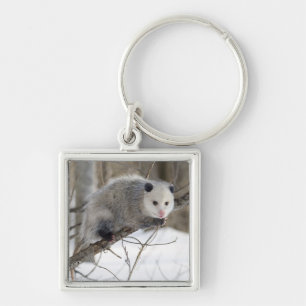 Opossum Love Key Ring
