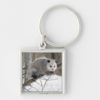 Opossum Love Key Ring
