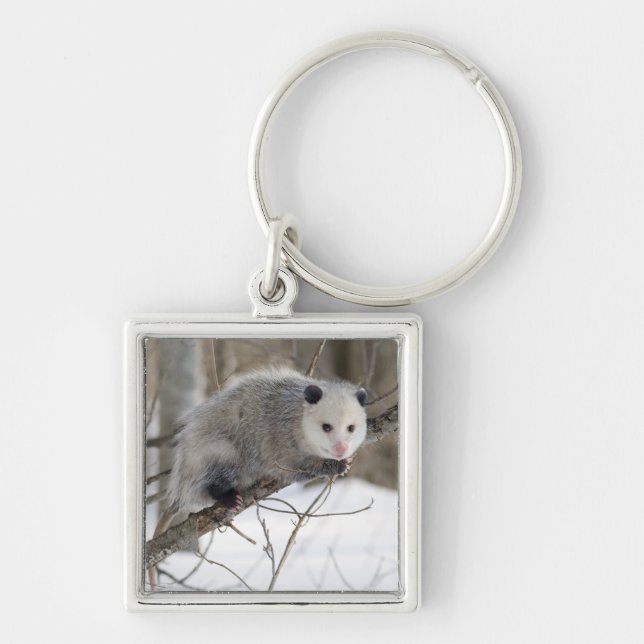 Opossum Love Key Ring (Front)
