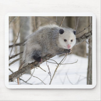 Opossum Love Mouse Pad