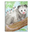 Opossum Mum