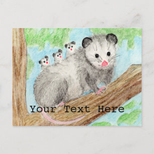 Opossum Mum Postcard