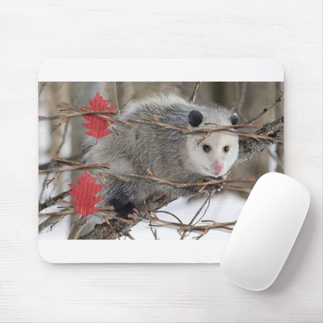 Opossum Nature White  Mouse Pad! Pad (With Mouse)