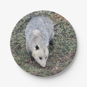 Opossum Paper Plate