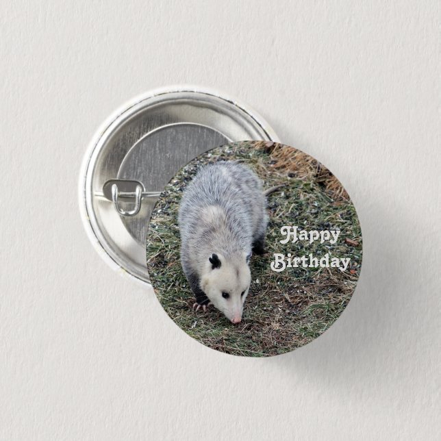 Opossum Photo Birthday 3 Cm Round Badge (Front & Back)
