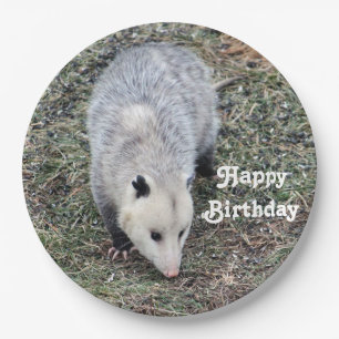 Opossum Photo Birthday Paper Plate
