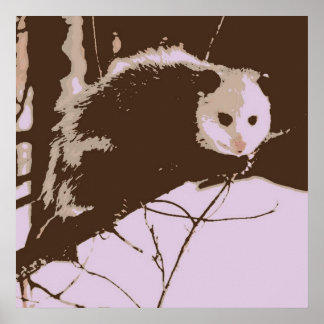 Opossum Pop Art Poster