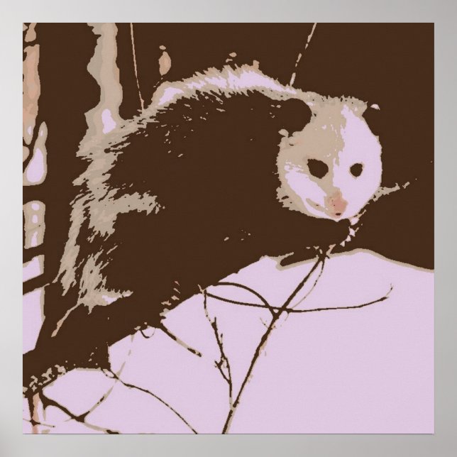 Opossum Pop Art Poster (Front)