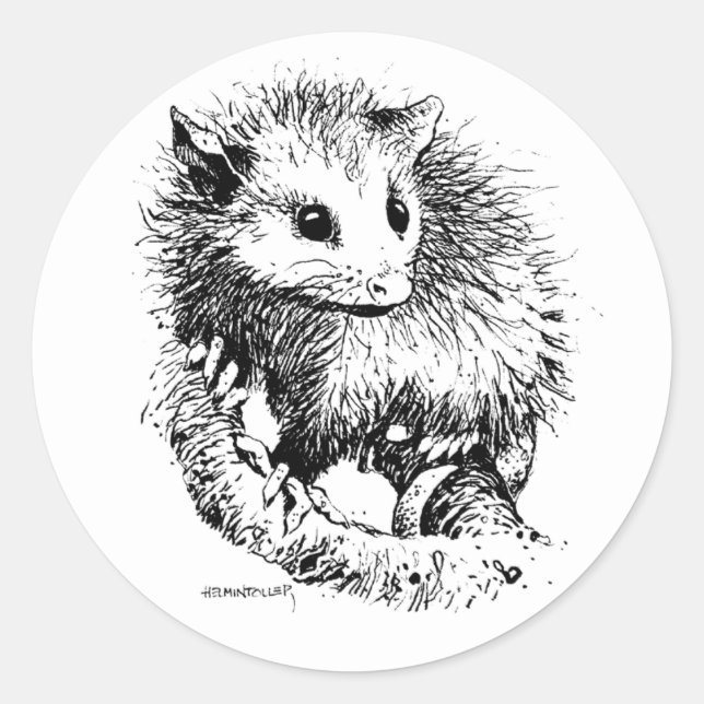 Opossum Stickers (Front)