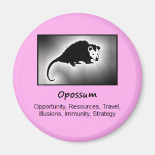 Opossum Totem Animal Spirit Meaning Magnet